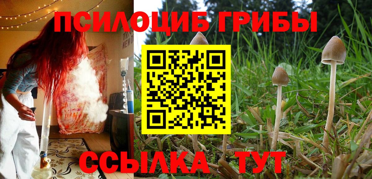Галлюциногенные грибы ЛСД Губкинский