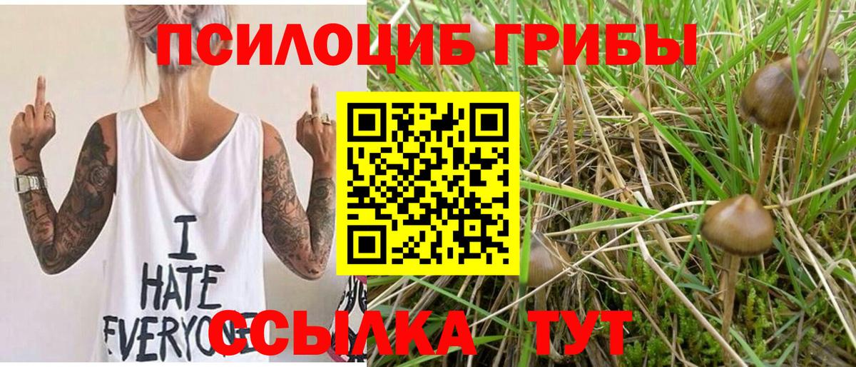 наркошоп  Псилоцибиновые грибы Psilocybine cubensis  Псилоцибиновые грибы MAGIC MUSHROOMS  Вход с VPN  Губкинский 